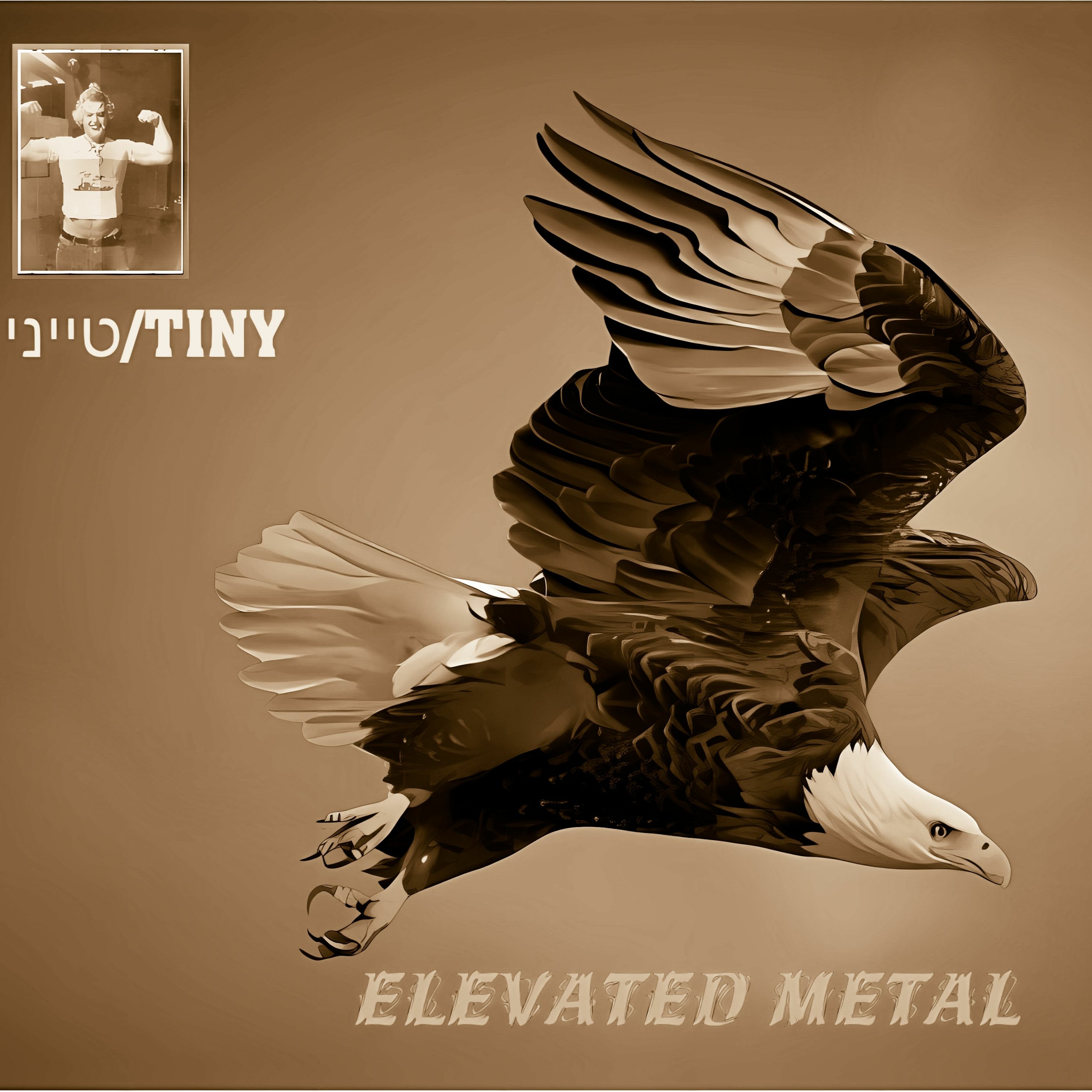 ELEVATED METAL episode artwork