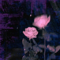 𝐧𝐨 𝐫𝐞𝐟𝐥𝐞𝐜𝐭𝐢𝐨𝐧𝐬 [p.Maxx Bett]