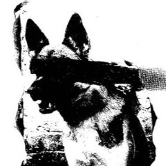 avangart yaşantımın