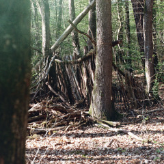 Le Butor et le Héron