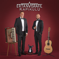 Kapıkulu