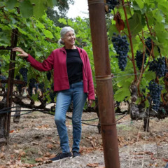 Episode 257 - Dawnine Dyer, Dyer Wine