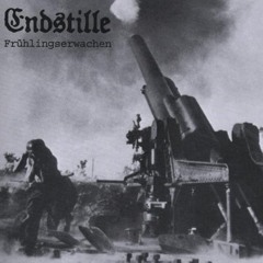 Endstille - With the Fog They Come