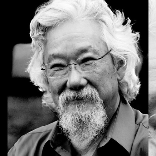 Stream episode David Suzuki talks with our Host + Producer Johanna Luna ...