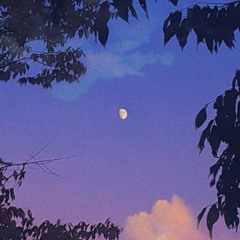 영원처럼안아줘 (cover)