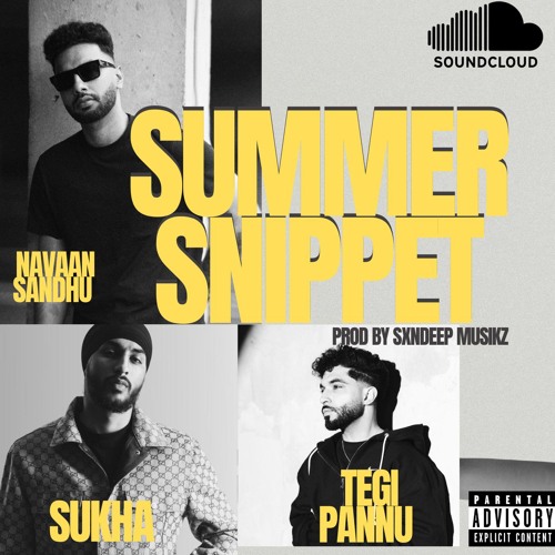 SUMMER SNIPPET|NAVAAN SANDHU|TEGI PANNU|SUKHA |LATEST PUNJABI MUSIC.mp3