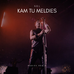 SEL - Kam Tu Meldies (EddieK Remix)