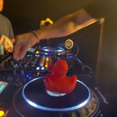 Hard Bass Duck