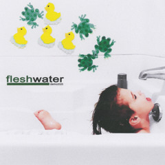 fleshwater - what was really said