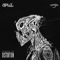 SPLiT - Distorted Waves