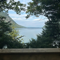 Nothing In Particular