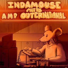 Indamouse meets Amp Outernational LP - RGWS008