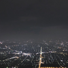 Slowly Down (feat.레나스칸)