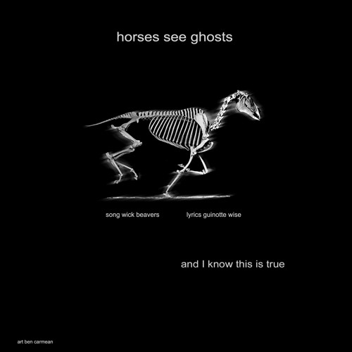 Horses See Ghosts