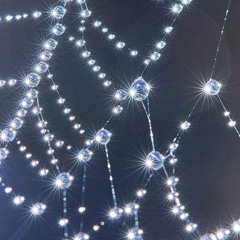 pasigroziu p. xnightttt