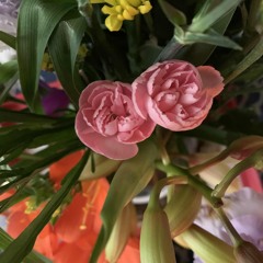 Ayup1koChan,Zyun,2025-05-12.WAV