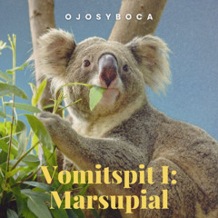 Ojosyboca - Despegue y aterrizaje Instrumental