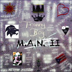 Tranny Boy (video version)