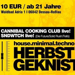 Sndwtch live @ Herbstgeknister Adria Dessau10.10.mp3