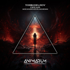 Dream (Nick Schwenderling Remix)