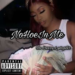 NoHoeInMe- younginn x rbn breezy (prod. groovyD)