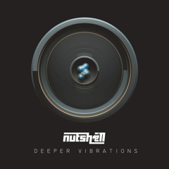 Nutshell - Deeper Vibrations Vol 2 ( Dj Set )