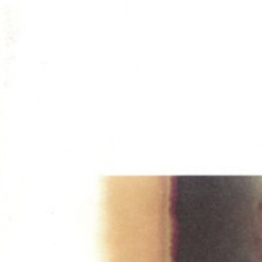 Dorsia - Story Books With Empty Pages