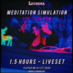 Meditation Simulation [1,5H Live-Set] (27.12.2024)