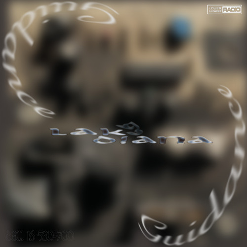 guidance w lak and diana(12.16.2024) for lower grand radio