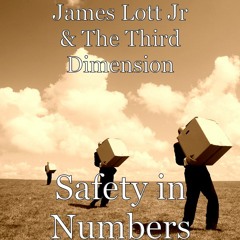 Safety In Numbers-James Lott Jr and the Third Dimension