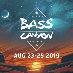 BASS CANYON 2019