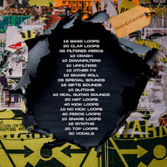 GROOVY ROOTS SAMPLE PACK DEMOS