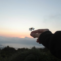 Ban Tinh Ca Khong Tua- Tkshiiii (cover)