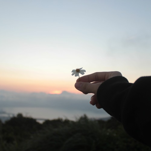 Ban Tinh Ca Khong Tua- Tkshiiii (cover)