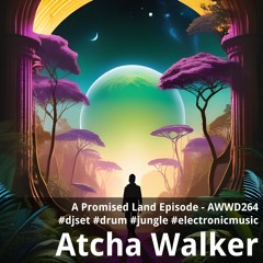 A Promised Land Episode - AWWD264 - djset - drum - jungle - electronic music
