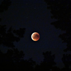 Eclipse