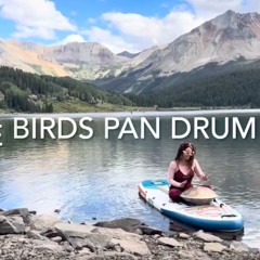 Three Little Birds - Pan Drum Cover