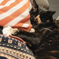 All I Need (Radiohead cover)