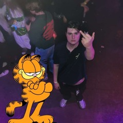 GNARFFIELD