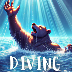 DIVING COVER