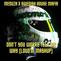 MEDUZA X SWEDISH HOUSE MAFIA - Dont You Worry Tell Me Why (LOUDEM  Mashup)