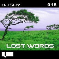 USR015 DJ Shy - Lost Words