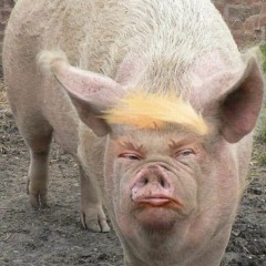 Pigman -Strong Days Riddim-