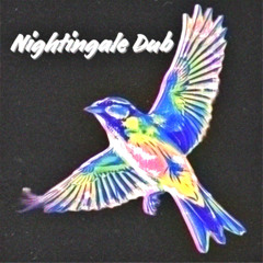 Nightingale Dub