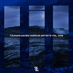 Jesica Falaschi - Transitions