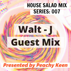 HOUSE SALAD MIX SERIES 007: Walt - J Guest Mix