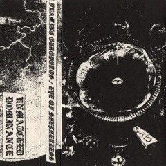 Flaming Ouroboros - These Fields Are Burning