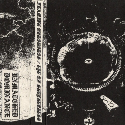 Flaming Ouroboros - These Fields Are Burning