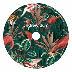 Andrew Dum - Volume No. 134 [live]