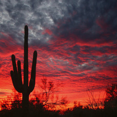 CBC keep you close 1